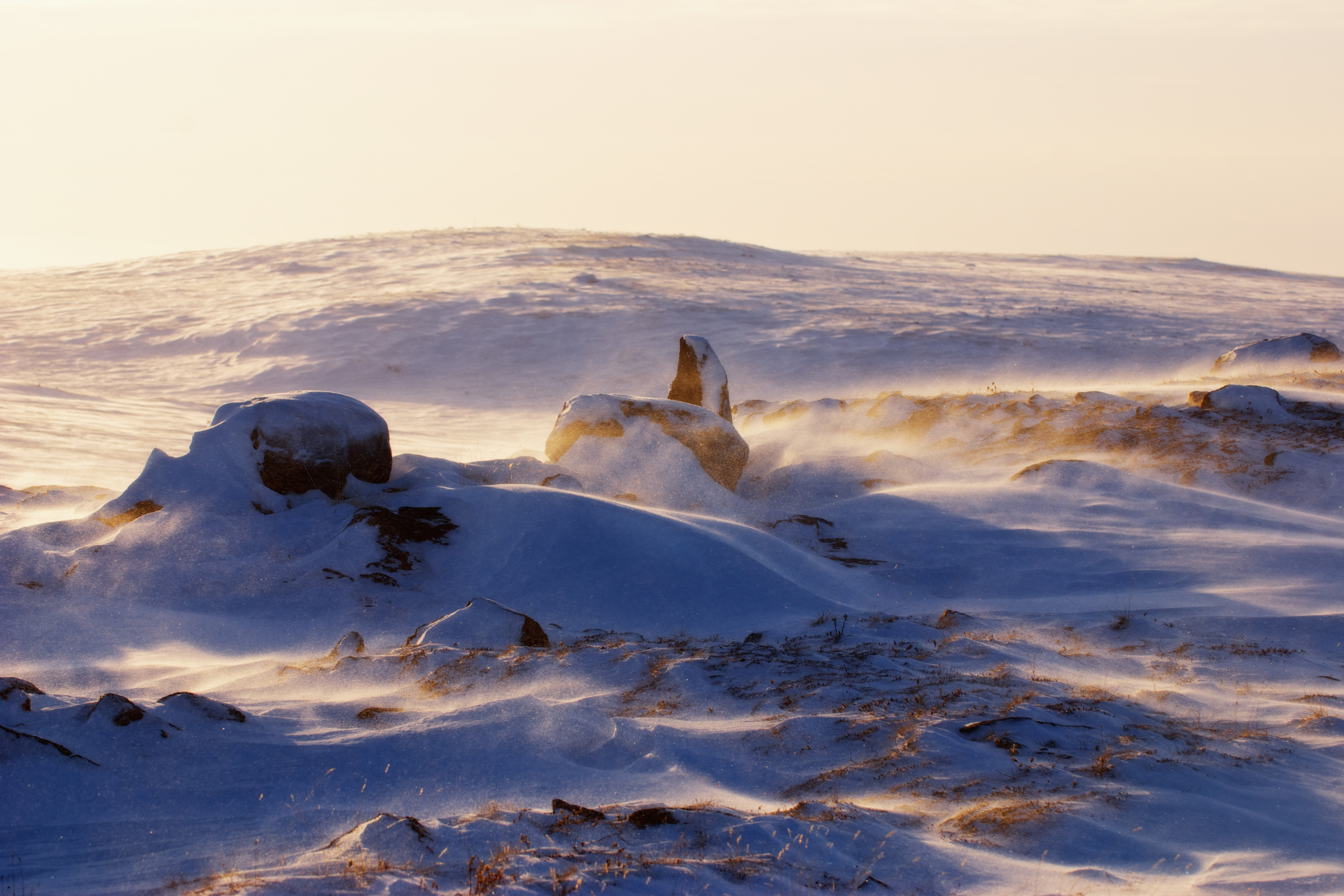 marble island, nunavut (3).webp
